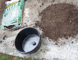 کاشت نیلوفر آبی در برکه